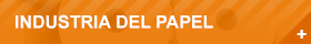 INDUSTRIA DEL PAPEL
