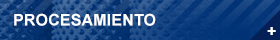 PROCESAMIENTO
